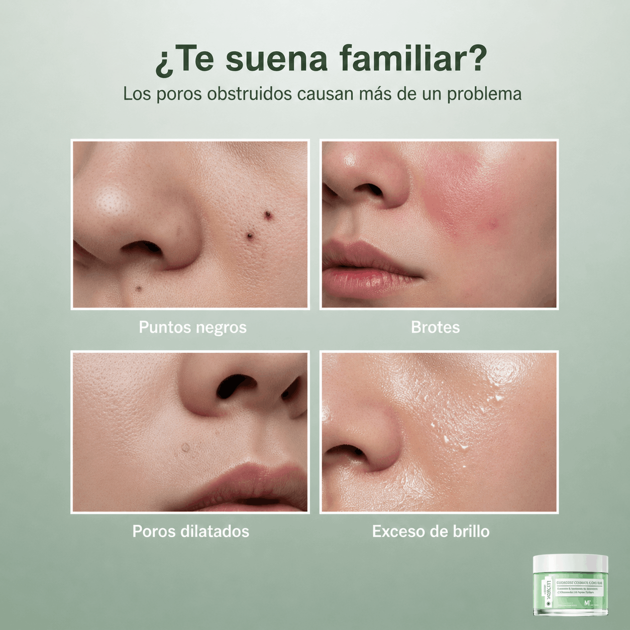 Mascarilla de Arcilla